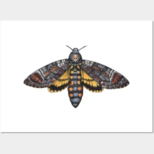 Death's Head Hawkmoth Posters and Art